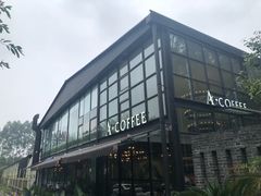 -桉树林A coffee 森林餐厅(三圣乡店)