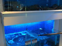 水产区-金苑海鲜酒家(来魅力店)