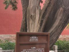 -北京市劳动人民文化宫(太庙)