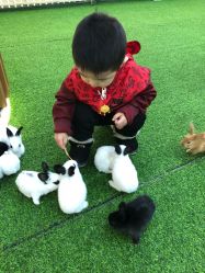 -萌宠亲子动物乐园(槐房万达店)