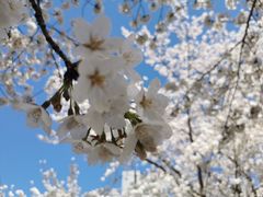 -日本大使馆-新闻文化中心