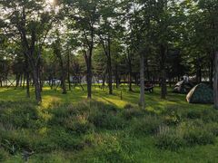-北龙湖湿地公园