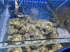 -阿军排档·烧烤
