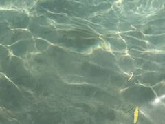-十渡高山漂流