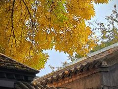 -北京国子监胡同