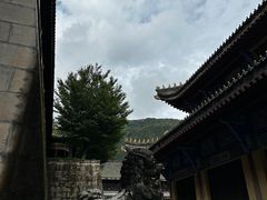 -冕宁灵山寺