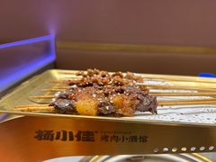 -杨小佳·齐齐哈尔烤肉·烤串(广州店)
