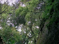-乌山风景区