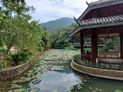 -亚龙湾热带天堂森林公园