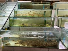-光海鲜鱼翅餐厅(叻差拉披色路店)