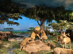 -国家自然博物馆