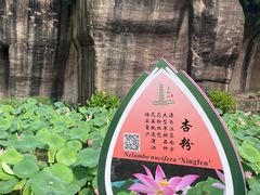 -广州莲花山旅游区