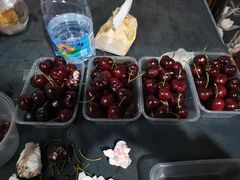 -西郊国际农产品交易中心
