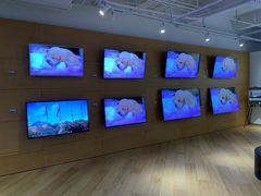 -Sony Store 索尼(上海淮海中路店)
