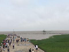 -南汇嘴观海公园