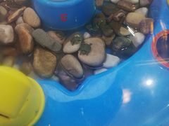 -大玩家(青岛CBD延吉路万达店)