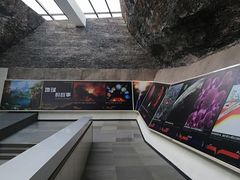 -中华赏石园
