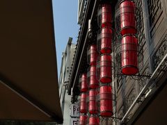 -陈麻婆豆腐(旗舰店)