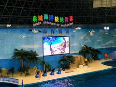 -泉城欧乐堡海洋极地世界