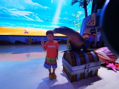 -三亚海昌梦幻海洋不夜城