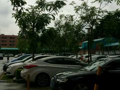 -东莞市人民医院(普济院区)