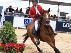 -月河湾马术俱乐部(朝阳店)