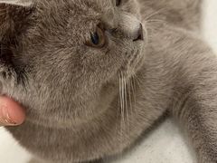 -佳雯宠物医院(四明中路分院)