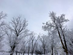 -中旅松花湖滑雪场