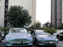 -TESLA 特斯拉(深圳观澜特斯拉直营钣喷中心)
