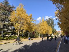 -中国政法大学(昌平校区)