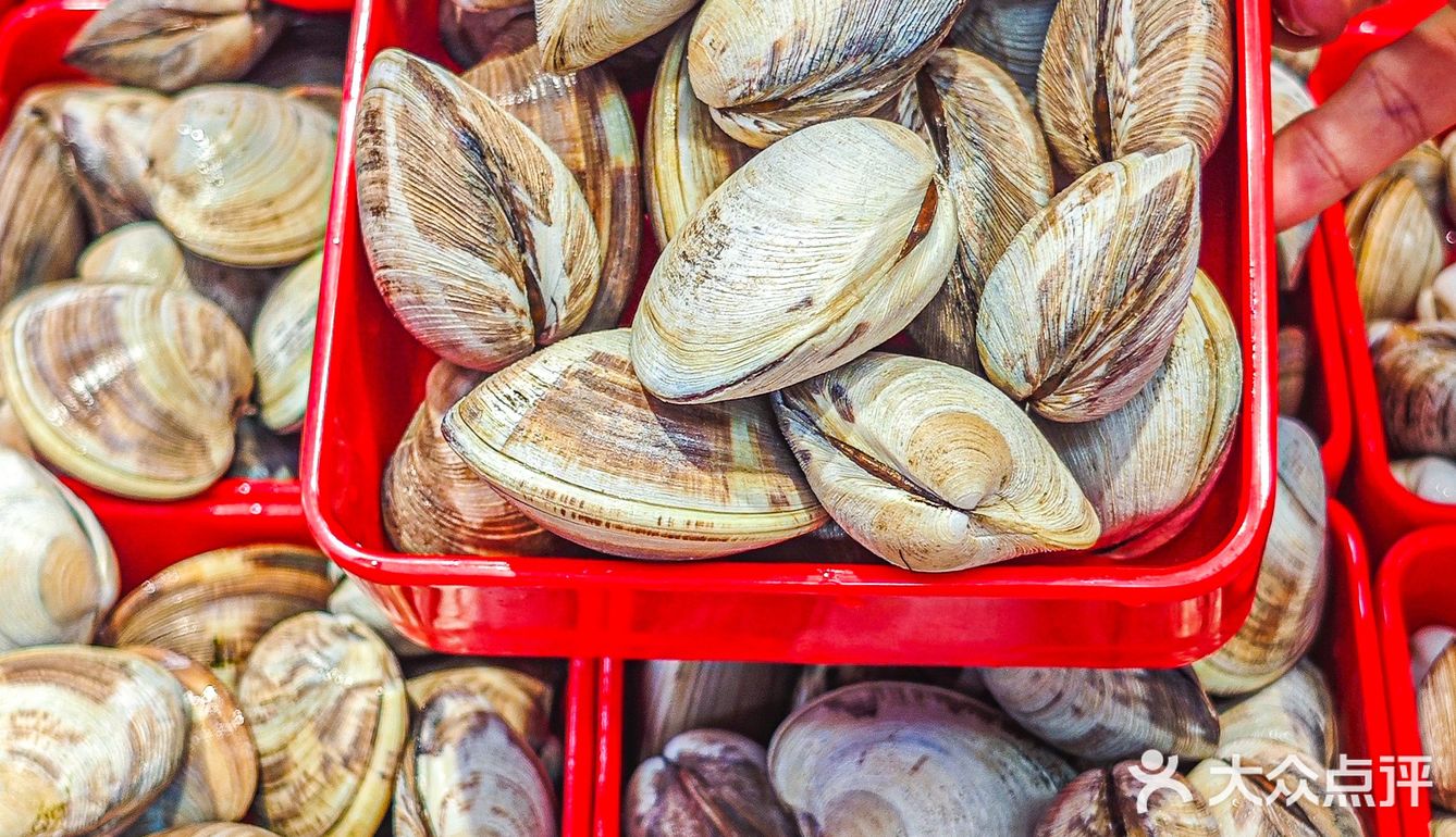 200多种海鲜现捞现煮‼️不能错过的海鲜火锅
