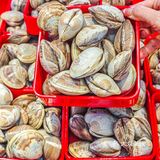 200多种海鲜现捞现煮‼️不能错过的海鲜火锅