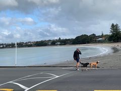 -Takapuna Beach Cafe