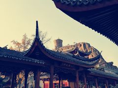-上海东林寺(金山区)