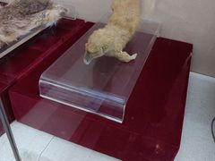 -中国湖笔博物馆(莲花庄路)