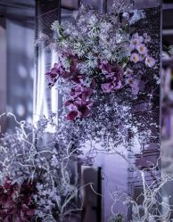 -天邑国际酒店·宴会厅