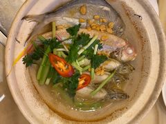 -锦粤宫·精致粤菜(深圳北站店)