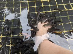 -七彩云南古滇温泉山庄