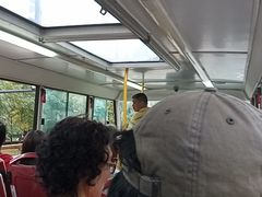 -BUS TOUR观光巴士