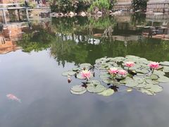 -晋江五店市传统文化旅游区