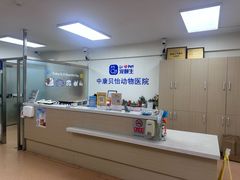 -宠颐生中康贝怡动物医院