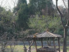 -上海野生动物园