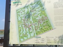 -宁波杭州湾国家湿地公园