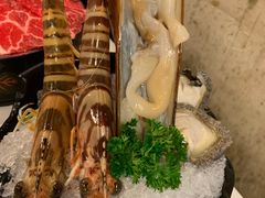 -鲜入围煮花胶鸡海鲜火锅