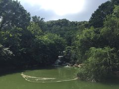 -广州市帽峰山景区