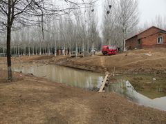 -东郊湿地公园