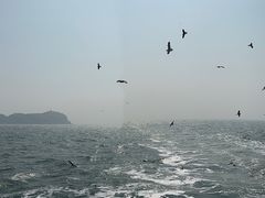 -海驴岛(荣成市)