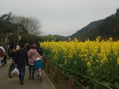 -贵阳市花溪国家城市湿地公园