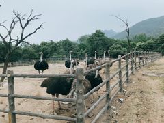 -西安秦岭野生动物园