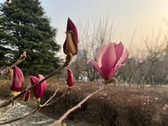 -白塘生态植物园